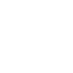 Bus Icon