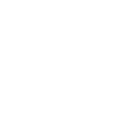 Train Icon